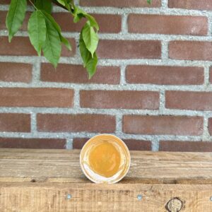 Schaaltje amberblokje - oranje