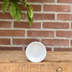 Schaaltje amberblokje - wit